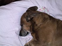 doma.2003